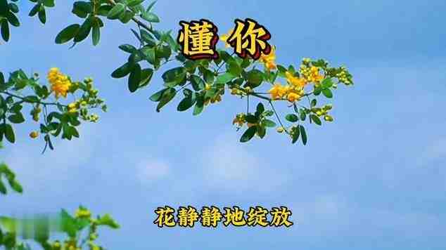 u_512896673_3905873852&fm_253&fmt_auto&app_120&f_JPEG.jpeg