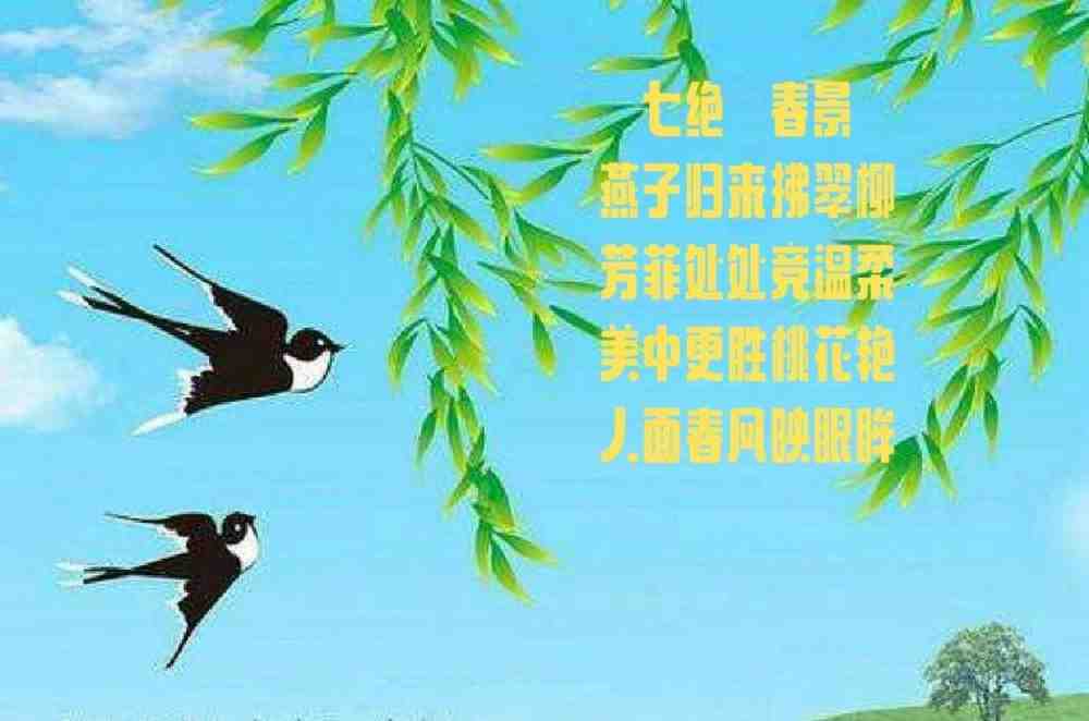 u_4111530305_467616595&fm_253&fmt_auto&app_120&f_JPEG.jpeg